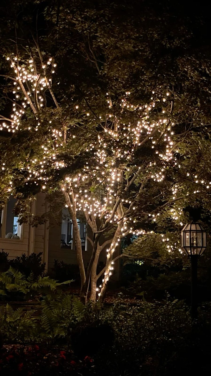 LitUp Vancouver holiday light installation